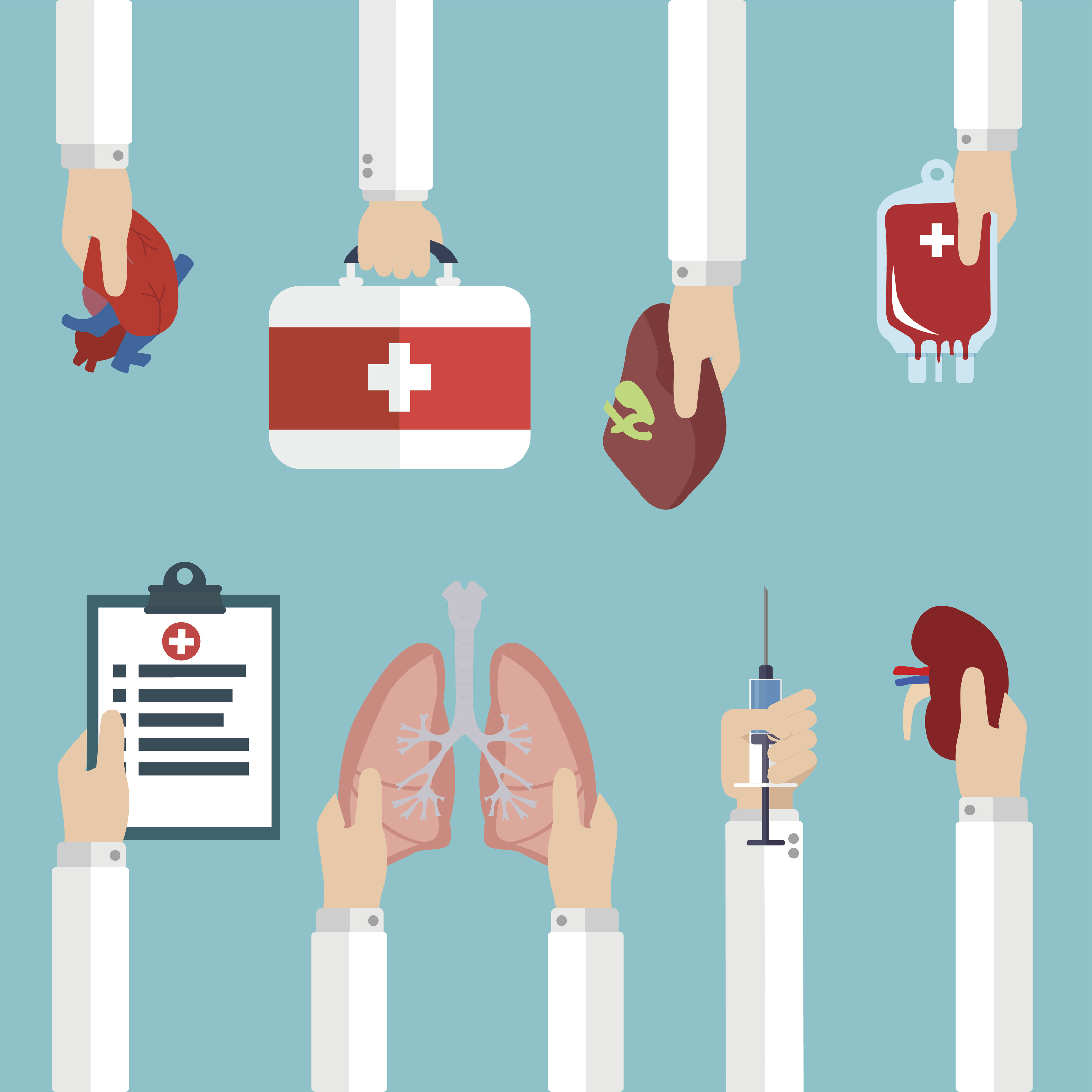 Organ donation illustrated image